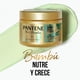 thumbnail image 2 of Crema Pantene de Tratamiento Capilar Bambú Nutre & Crece, 300 ml, 2 of 5