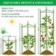 thumbnail image 2 of Tutor para tomates Moirsunt, 6 unidades, acero, 127 cm, soporte para plantas, 2 of 6