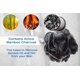 thumbnail image 5 of Shower Loofah Tilcare XXL, 90 g, color carbón, paquete de 3 unidades para hombre y mujer, 5 of 8