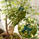 thumbnail image 5 of Clips de Soporte para Plantas PERSZEN 80 Piezas Plástico Verde y Acero, 5 of 7