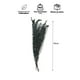 thumbnail image 2 of Rama Decorativa Natural Verde, 2 of 3