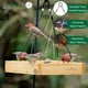 thumbnail image 3 of Alimentador para Pájaros Wild Wings WWCF23 de Cedro con Bandeja Colgante, 3 of 7