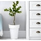 thumbnail image 3 of Árbol Limón Artificial Verde Decoración Moderna 120cm Jhn, 3 of 3
