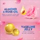 thumbnail image 3 of Bálsamo labial Vaseline Lip Therapy Rosy Lips y Cocoa Butter 4,8 g x4, 3 of 9
