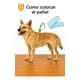 thumbnail image 5 of 48 Pañales Perro Macho Talla L Incontinencia Adulto Higiene Blanco Macho L 65 X 20cm, 5 of 12