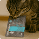 thumbnail image 3 of Alimento húmedo para gatos BS Ternera y manzana - Dr. Clauder's x5 Pouch, 3 of 3
