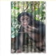 thumbnail image 1 of Cortina de ducha de animales chimpancé, juego de cortina de baño con ganchos, tamaño 48 x 72 pulgadas, 1 of 3