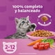 thumbnail image 5 of Alimento Seco Gatito Sabor Carne y Leche Bolsa, 1 Kg, 5 of 9