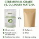 thumbnail image 3 of Matcha SPETZA roasting co. 50 g Grado Ceremonial, 3 of 9