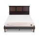 thumbnail image 1 of Cama Europea Curve Cocopedic 2 Plazas Respaldo New Torino Choc, 1 of 14