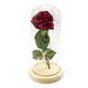 thumbnail image 1 of Rosa eterna encapsulada luz led san valentín, 1 of 3