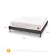 thumbnail image 3 of Cama Europea Curve Cocopedic King Base Normal, 3 of 14