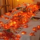 thumbnail image 1 of 1pc, Festive Red Maple Leaf String Lights for Home Decor, Party, and Holiday Celebrations, 1 of 5