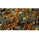 thumbnail image 4 of Gamers Grass: césped para modelismo color marrón cobrizo de 2 mm, 4 of 4