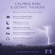 thumbnail image 3 of CD The Rhythm Tree Lluvia y Trueno – 60 min Relajación, 3 of 9