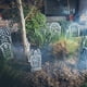 thumbnail image 3 of Set 6 Lápidas de Foam con Soporte Halloween - Frank & Mortis, 3 of 3