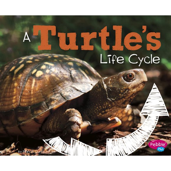 Libro Capstone Press El ciclo de vida de una tortuga (explora los ciclos de vida)