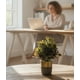 thumbnail image 3 of Set 2 Plantas Artificiales Decorativas Macetero Bicolor Jhn, 3 of 3