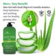 thumbnail image 2 of Gel de Aloe Vera Being Naturals 500 ml con Mucina de Caracol, 2 of 6