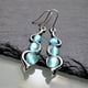 thumbnail image 3 of Sapphire Blue Plastic Drop Earrings - Perfect Anniversary Gift for Her - Silver Hoop Earrings, 3 of 4