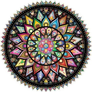 Bgraamiens Puzzle-Geometric Colorful Mandala-1000 Pieces Cre Bgraamiens Bgraamiens