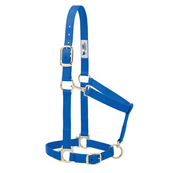Cabestro ajustable de nylon azul para caballo, Weaver Leather Basic