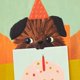 thumbnail image 4 of Tarjeta de cumpleaños Hallmark 13 cm x 18 cm con perrito y sombrero de fiesta, 4 of 8