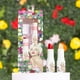 thumbnail image 3 of Set de maquillaje wet n wild Marilyn Monroe Icon Lipstick + Balm, 3 of 3