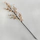thumbnail image 1 of Ramo natural brotes beige 90 cm, 1 of 4