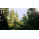 thumbnail image 4 of Hunting Simulator 2 - Playstation 4 - Snipercl, 4 of 10