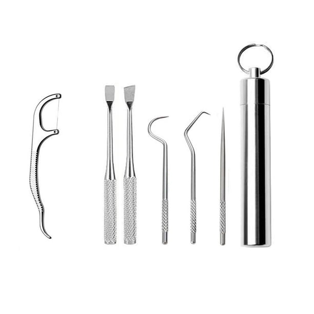 Juego de palillos de dientes portátiles, reutilizables, de acero inoxidable, con soporte para picnics y acampadas al aire libre.