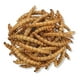 thumbnail image 2 of Súper Tenebrios Deshidratados Para Aves Erizos Hámsters 400g, 2 of 3