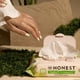 thumbnail image 3 of Toallitas The Honest Company Hydrate + Cleanse Benefit, 3 of 8