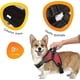 thumbnail image 2 of Arnés Talla M, Ajustable Para Perros Mascotas Paseo, 2 of 3