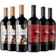 thumbnail image 1 of Parrillero: 3 Gran Reserva Carmenere + 3 Reserva Cabernet Sauvignon, 750 Ml, 1 of 3