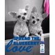 thumbnail image 3 of Colonia para perros Showseason Animal Products South Bark's Blueberry, 3 of 7