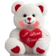 thumbnail image 1 of Oso de peluche HollyHome I Love You con LED de 33 cm para San Valentín, 1 of 8