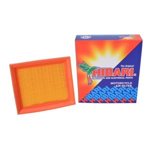 Genérico - Filtro De Aire Honda Xr 125 (Solo Para Xr 125)