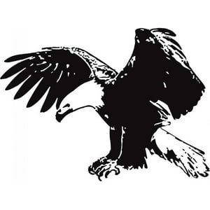 Rienda Libre Graphics - Decomural Soaring Eagle Bird Ws-17617