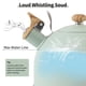 thumbnail image 3 of Tetera Lonffery 2,5 L Turquesa con Silbido, 3 of 7