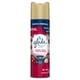 thumbnail image 1 of Desodorante Ambiental Aerosol Placer Floral y Frutos Rojos Lata, 255 ml, 1 of 1