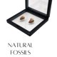 thumbnail image 2 of Fabrvog Fossiles de Dientes de Mosasaurus – 2 piezas con caja y lupa, 2 of 5