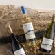 thumbnail image 4 of Vino Blanco Sauvignon Blanc Gran Reserva Aconcagua Cuvée 12° Botella, 750 ml, 4 of 5