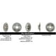 thumbnail image 2 of Disco Freno para auto BMW 320i xDrive 2011-2019 Trasero, 2 of 4