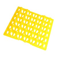 Magideal - Soporte De Plástico Para Huevos De Transporte De Larga Distancia De 30 Rejillas, Bandeja De Incubación, Contenedor De Huevos, Transferencia De Paletas Amarillo