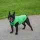 thumbnail image 2 of Chaleco polar Jacko & Co para perros, color verde, para pequeños y medianos, 2 of 8