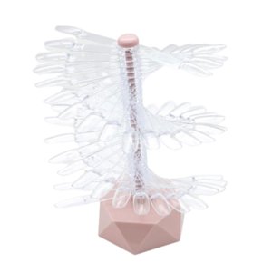 Ioensy - Pantalla De Color De Uñas Desmontable Para Herramientas De Juego De Uñas Herramientas De Práctica Muestras De Uñas Rosa