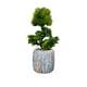 thumbnail image 1 of Macetero Planta Artificial Flores Maceta Piedra Bonsai, 1 of 1