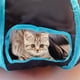 thumbnail image 5 of Túnel para Gato Deofun en Forma de S Plegable, 5 of 6