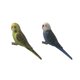 thumbnail image 5 of 2 piezas miniatura animales aves modelo estatuilla estatua Scupltue juguete loro, 5 of 5